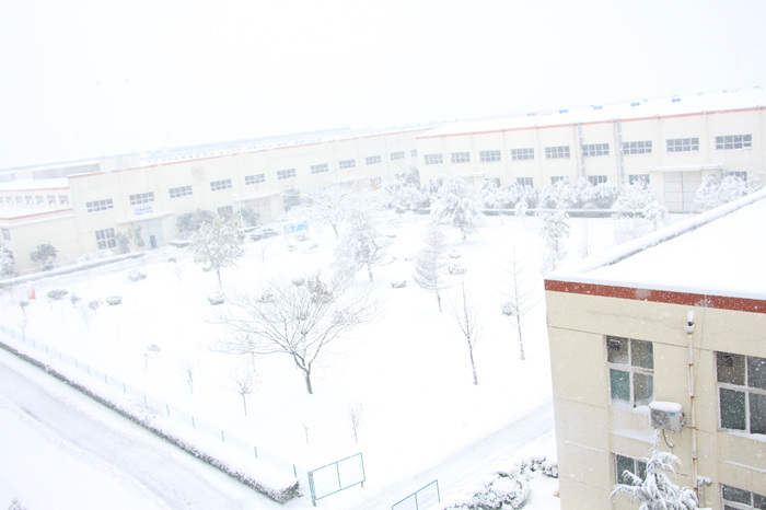 鸟瞰乐虎88国际工业园 鸟瞰乐虎88国际工业园